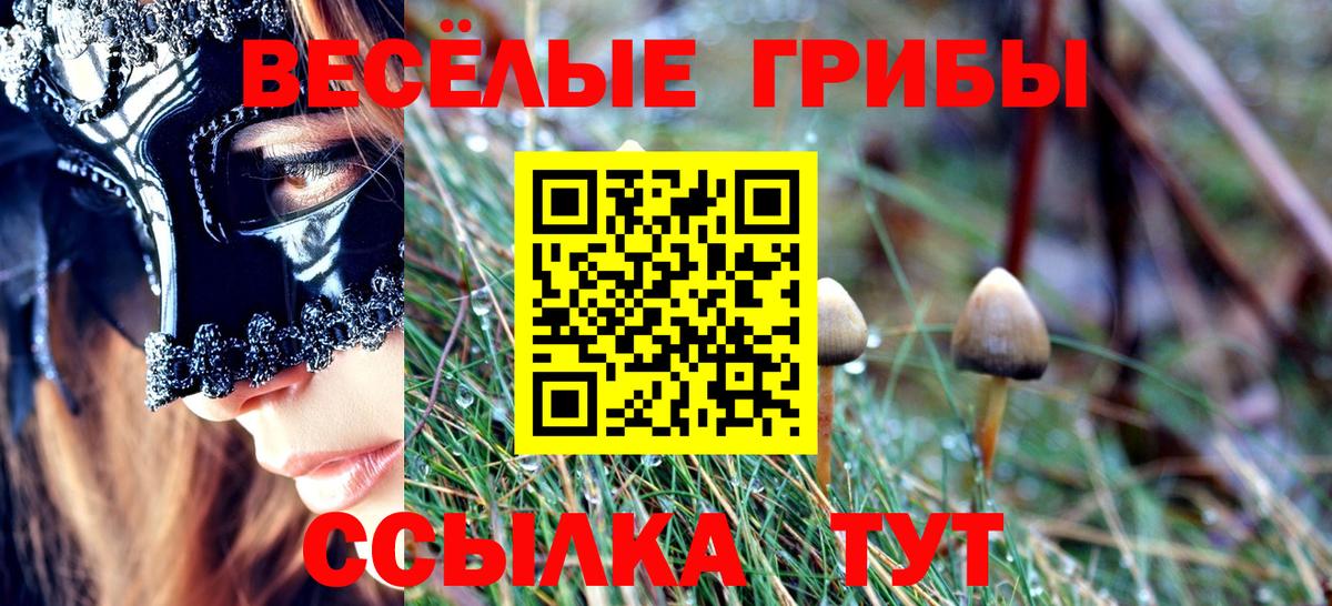 Псилоцибиновые грибы ЛСД Балабаново