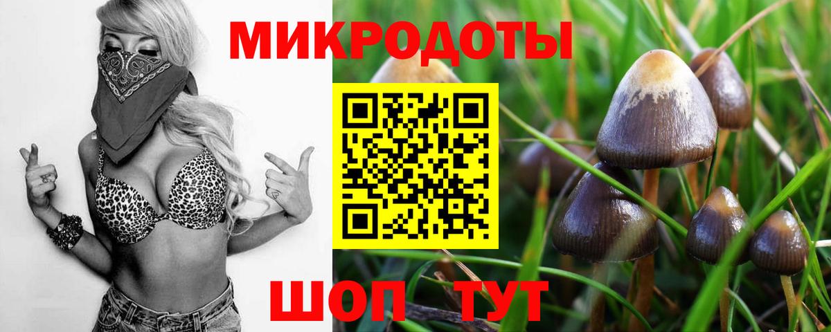 Псилоцибиновые грибы Psilocybine cubensis  Вход с VPN  Псилоцибиновые грибы ЛСД  Балабаново 
